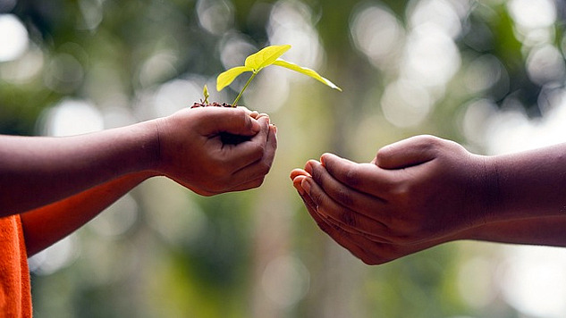 a pair of hands offering the gift of a plant to another set of hands