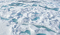 Plankton Mekar di Kolam Kutub Arktik Menganggap Masalah Iklim