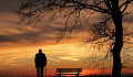 A man standing outside at sunset under a tree. Image from Pixabay. 