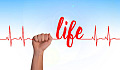 a hand holding a heartbeat line with the word Life
