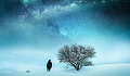 אדם ליד עץ חשוף בחורף, בלילה