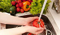 6 dicas para manter os alimentos seguros e limitar o desperdício