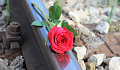 a red rose laying on a railroad track