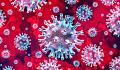 Imagen colorida de algunos virus corona