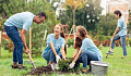 jardinage communautaire 9 28