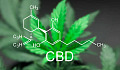 Cannabisforbindelser har blitt vist for å bremse kolonkreft i laboratoriet