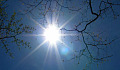 Satu pasukan saintis telah menganalisis pola perubahan cahaya matahari dan variasi iklim. Imej: Stanley Zimny ​​melalui Flickr