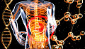 una imagen transparente del cuerpo con órganos y ADN