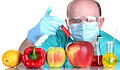 Сложная природа ГМО призывает к новому разговору