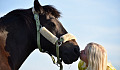 年轻女孩亲吻一匹马的鼻子