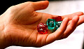 Learning Life Lessons by Playing Dice