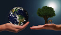 two hands reaching for one another - one hand holding planet earth, the other holding a tree