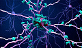 Kan denne nye forbindelsen forhindre Alzheimers sykdom?