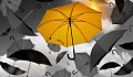ett knallgult paraply bland svarta paraplyer