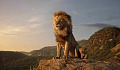 'Vua sư tử' dạy chúng ta điều gì về nỗi đau của trẻ em