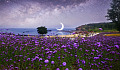 hermoso entorno con flores silvestres y una luna colgando sobre el agua