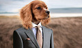 a dog standing up like a human and wearing a business suit