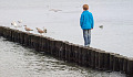 防波堤の上に立つ少年