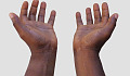 две руки раскрыты в позиции даяния и/или получения