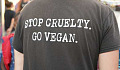 Kenapa Aktivisme Vegan Perlu Tukar Gear