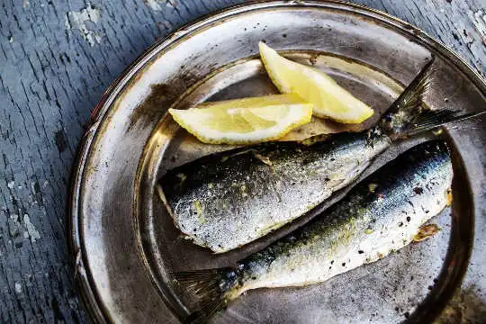 Люди не їдять достатньо риби і втрачають надійні переваги для здоров’я