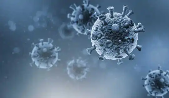 O coronavírus permanece no corpo? O que sabemos sobre como os vírus geralmente permanecem no cérebro e nos testículos