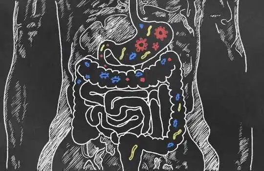 Ce sunt probioticele și cum ați putea beneficia de ele