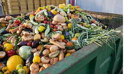 một thùng rác thương mại chứa đầy trái cây và rau quả vứt đi