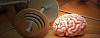 Beyin Eğitimi ve Egzersizi: Kullan veya Kaybet