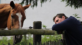 Incontri equini: ascoltare i cavalli sussurrare