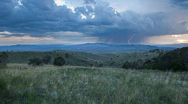 Đồng cỏ lăn trong khu vực nghiên cứu hoang dã lục địa phân chia của New Mexico. Hình: Cục quản lý đất đai thông qua Flickr