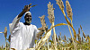 Pasar makanan yang diliberalisasi dapat mengurangi dampak turunnya panen di wilayah selatan seperti Afrika. Gambar: Fred Noy / Foto PBB via Flickr