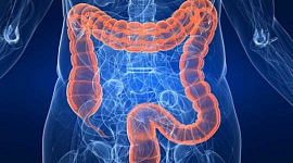 Can Screwy Gut Bacteria Raise Your Diabetes Risk?