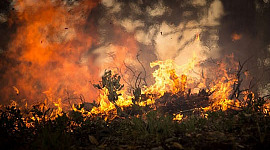 Bagaimana Asap Wildfire Mempengaruhi Kesihatan Anda