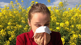 Wie unsere Umwelt Allergien auslösen kann, noch bevor wir geboren sind