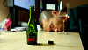 Waarom drinken om te vergeten kan PTSS nog erger maken