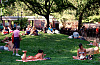 A colina central no Tompkins Square Park, em Nova York, onde as pessoas tomam sol e relaxam.