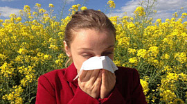 Was sind Allergien und warum bekommen wir mehr davon?