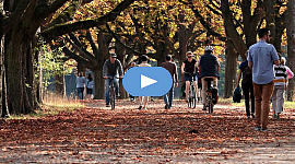 mensen wandelen en fietsen door een park