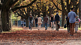 لوگ پیدل چل رہے ہیں اور ایک پارک میں سائیکل چلاتے ہیں۔