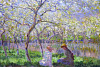 Wie die Bilder des Impressionisten Claude Monet unsere Augen betrügen