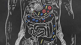Les microbes intestinaux peuvent être difficiles à manger - Voici pourquoi c'est important