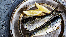 Orang Tidak Cukup Makan Ikan dan Kehilangan Manfaat Kesehatan yang Kuat