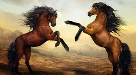 Kyse ei ole hevosesta: hevonen on peili