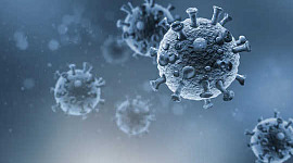 Le coronavirus persiste-t-il dans le corps? Ce que nous savons sur la façon dont les virus en général s'accrochent dans le cerveau et les testicules