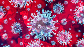 Gambar berwarna-warni beberapa virus korona
