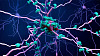 Voiko tämä uusi yhdiste estää Alzheimerin taudin?