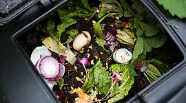 Was kann in den Kompostbehälter gelangen? Einige Tipps, um Ihrem Garten zu helfen und die Schädlinge fernzuhalten