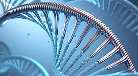 ایم آر این اے کیا ہے؟ میسینجر مالیکول کچھ کوویڈ 19 ویکسینوں میں کلیدی جزو ہے
