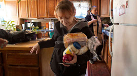 Violência doméstica: os pedidos de ajuda aumentaram - mas as respostas não ficaram mais fáceis